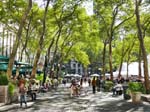 New-York-Bryant-Park-NYC