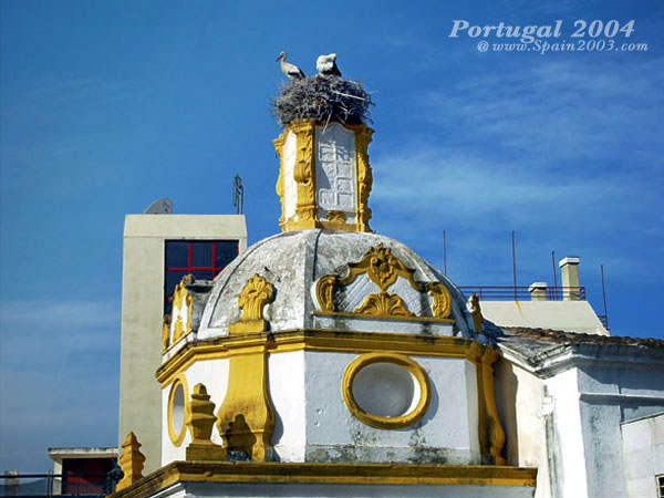 Crane-Nest-Faro-Portugal