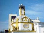 Crane-Nest-Faro-Portugal