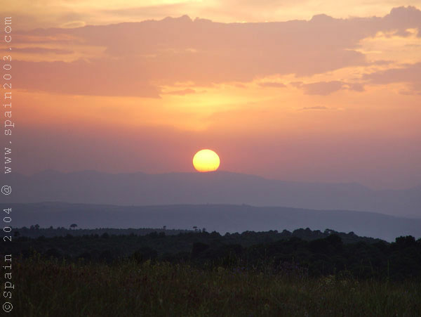 Sunset