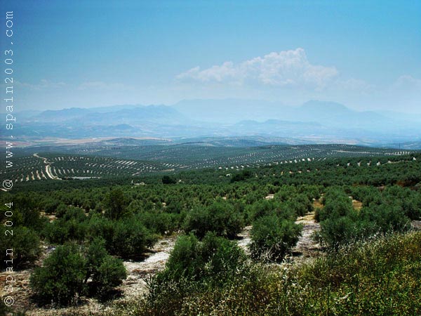 Ubeda