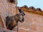Ubeda
