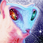 Cat Alien